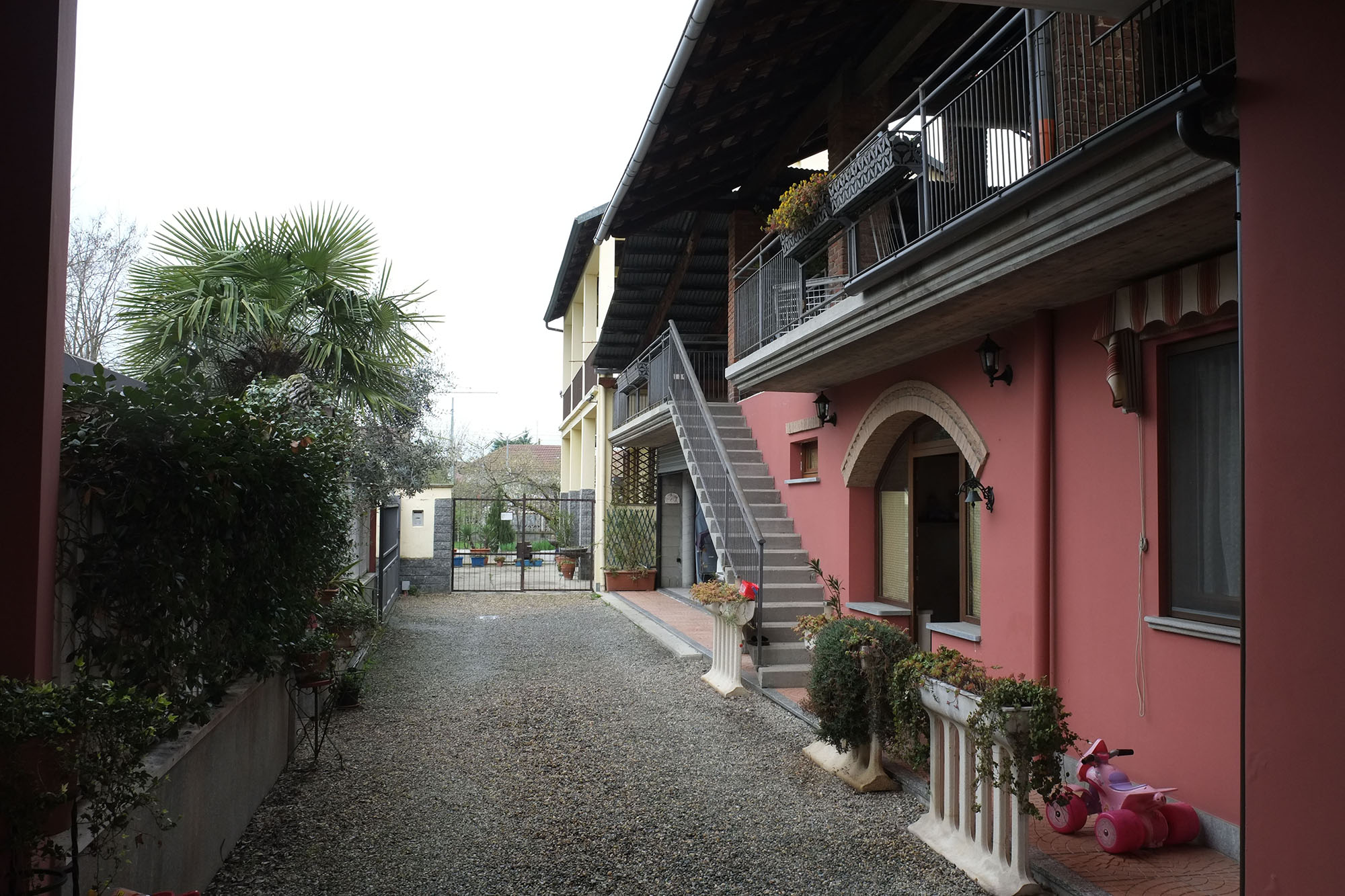 color photo
